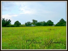 A SAISIR  terrain plat de 1888m² exposé Sud