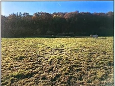 Terrain à vendre de 2 937,00 m² à BENAC (65)