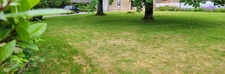 Terrain à vendre  CAMORS 56330 - Morbihan - Bretagne Sud