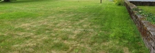 Terrain à vendre  CAMORS 56330 - Morbihan - Bretagne Sud