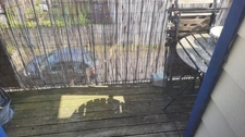 Appartement à louer 3 pièces PEAULE 56130 Morbihan Bretagne Sud