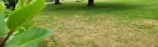 Terrain à vendre  CAMORS 56330 - Morbihan - Bretagne Sud