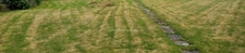 Terrain à vendre  CAMORS 56330 - Morbihan - Bretagne Sud