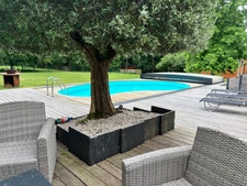 Charmante Maison en Pierre avec Terrain de 16 000 m² et dépendances - 35600 Ste Marie