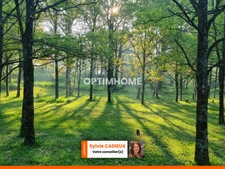 Charmante Maison en Pierre avec Terrain de 16 000 m² et dépendances - 35600 Ste Marie