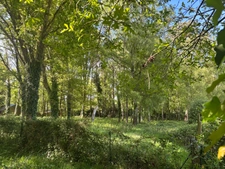 Maison familiale sur sous-sol avec grand terrain - SAINTE MARIE (35)