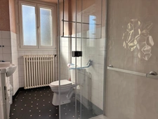 Maison en pierre avec dépendances et terrain arboré - 155 m² - Bains sur Oust