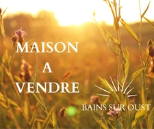 BELLE PROPRIETE AVEC PISCINE et dépendances sur 16000 m² terrain  - BAINS SUR OUST