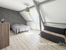 OLIVET SUD, à vendre superbe maison familiale de plus de 200 m2 avec maison d'amis et piscine chauffée dans un environnent calme et privilégié - 
