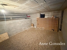 OLIVET SUD, à vendre superbe maison familiale de plus de 200 m2 avec maison d'amis et piscine chauffée dans un environnent calme et privilégié - 