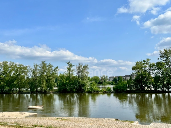 ORLEANS CENTRE VILLE et Bords de Loire à vendre belle MAISON DE VILLE double réception, 5 chambres, terrasse bois sur jardinet avec garage