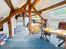 VITRY AUX LOGES, à vendre superbe Propriété du XIXème de plus de 300 m2, maison d'amis indépendante,