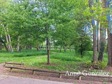 SAINT JEAN DE BRAYE, à vendre belle maison familiale de170 m2 avec jardin paysager clos dans un environnent calme et privilégié proche des toutes les commodités