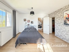 OLIVET SUD, à vendre superbe maison familiale de plus de 200 m2 avec maison d'amis et piscine chauffée dans un environnent calme et privilégié - 