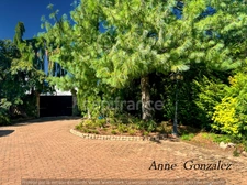 OLIVET, ten minutes from Orléans, in a quiet and privileged area, for sale large character house with enclosed and wooded garden of 1437 m2, swimming pool, jacuzzi, outdoor bar, double garage 