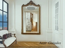 ORLEANS Carré OR, à vendre grande Maison Bourgeoise entièrement rénovée par Architecte d'intérieur avec patio intérieur et jacuzzi à l'abri des regards