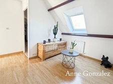 OLIVET SUD, à vendre superbe maison familiale de plus de 200 m2 avec maison d'amis et piscine chauffée dans un environnent calme et privilégié - 