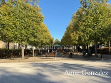 ORleANS COEUR DE VILLE, à vendre bel appartement T5 de 124 m2 vue Cathédrale et parc Pasteur avec balcon, cave et place de parling sécurisé