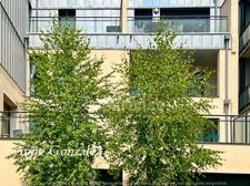 ORLEANS Centre fbg Bannier, à vendre superbe appartement T4 avec terrasse de 36m2 exposée sud-ouest, 4 places de parking 