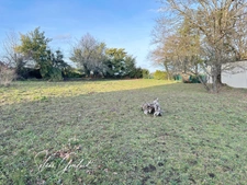 EN EXCLUSIVITE !! Terrain proche bourg
