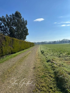Terrain de 4200 m² avec une vue dégagée