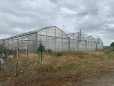 Terrain à vendre de 23 260,00 m² SAINT JEAN DES MAUVRETS (49)