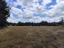 Terrain à bâtir