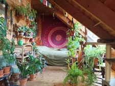 Maison en bois
