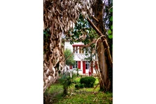 Au calme belle maison de maître de 215m2 sur parc arboré à rénover – Marracq Saint Léon 
