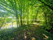 Bazuel / Le Cateau 59360 - Longère individuelle de campagne avec chalet, sauna, jardin arboré & étang sur 5265m²