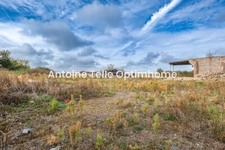 Exclusivité - Terrain agricole non constructible sur 11196m² (1,1hectare) - Amerval Solesmes 59730