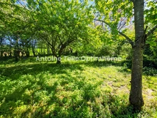 Bazuel / Le Cateau 59360 - Longère individuelle de campagne avec chalet, sauna, jardin arboré & étang sur 5265m²