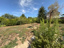 Maison ancienne en pierre avec jardin, terrasse et vastes dépendances – Genevrières (52500)