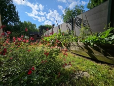 MONTANAY (69250) à vendre MAISON DE VILLE 130 m² – JARDIN – GARAGE – 3/4 CHAMBRES –