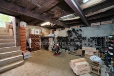 Montanay (69250) Propriété rare 320 m² : maison principale + appartement indépendant, Grand jardin arboré à 20 min de Lyon