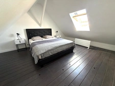 Propriete à vendre 15 pièces  (56)