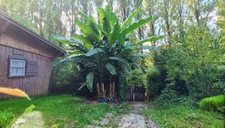 Petite propriété avec une maison et un chalet  à CHALIFERT (77)