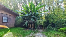Petite propriété avec une maison et un chalet  à CHALIFERT (77)