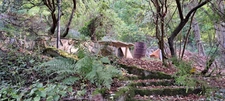 Petite propriété avec une maison et un chalet  à CHALIFERT (77)