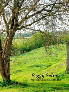 59 - Vente Maison Sorle-le-Château ~ 132m² - sur + d'1 ha de terrain.
