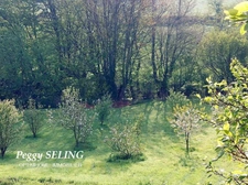 59 - Vente Maison Sorle-le-Château ~ 132m² - sur + d'1 ha de terrain.