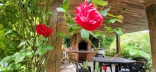 59 - Vente Maison Hautmont - 144 m²- 5 chambres sur + de 15 ares de terrain.