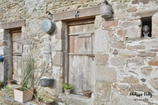 Gîtes et Chambres d'hôtes à Cancale Longère 18ème siècle ! 
