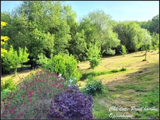 Maison avec vue et jardin arboré - 180m²