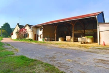 HARAS dans Yonne 