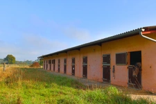 HARAS dans Yonne 