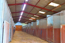 HARAS dans Yonne 