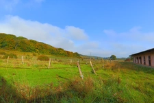 HARAS dans Yonne 