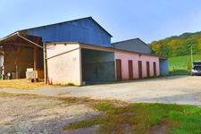 HARAS dans Yonne 