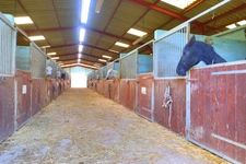HARAS dans Yonne 